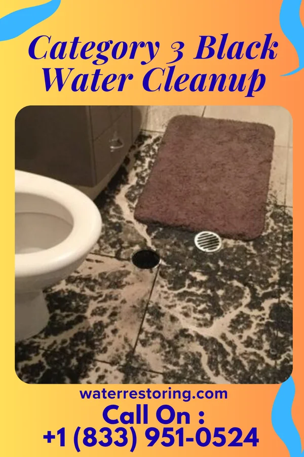 Category 3 Black Water Cleanup in Utica, NY