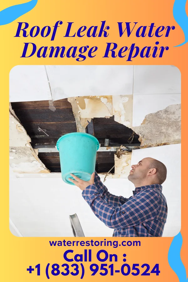 Roof Leak Water Damage Repair in Utica, NY