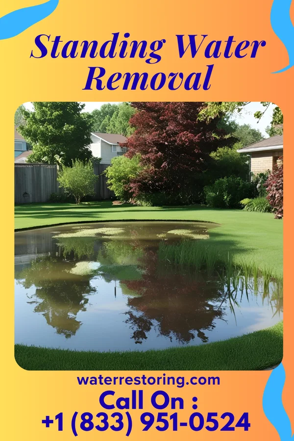 Standing Water Removal in Utica, NY